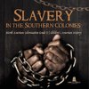 Slavery in the Southern Colonies | North American Colonization Grade 3 | Children's American History