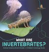 What Are Invertebrates? | Animal Science Book Grade 3 | Children's Zoology Books