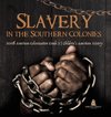 Slavery in the Southern Colonies | North American Colonization Grade 3 | Children's American History