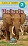 Elephants