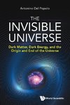 The Invisible Universe