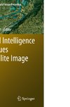 Artificial Intelligence Techniques for Satellite Image Analysis