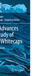 Recent Advances in the Study of Oceanic Whitecaps