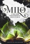 Milo und der gestohlene Aventurin