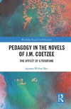 Pedagogy in the Novels of J.M. Coetzee