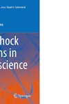 Heat Shock Proteins in Neuroscience