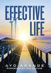 Effective Life