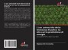 L'uso potenziale della biomassa di palma da olio per la produzione di energia