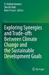 Exploring Synergies and Trade-offs between Climate Change and the Sustainable Development Goals