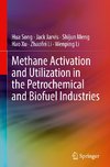 Methane Activation and Utilization in the Petrochemical and Biofuel Industries