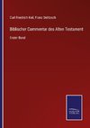 Biblischer Commentar des Alten Testament