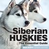 Siberian Huskies