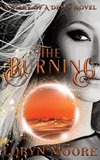 Diary of a Deity - The Burning