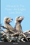 Miracle In The Pines - An Eagles Love Story