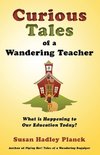 Curious Tales of a Wandering Teacher