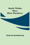 Angelic Wisdom about Divine Providence