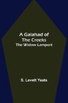 A Galahad of the Creeks; The Widow Lamport