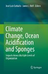 Climate Change, Ocean Acidification and Sponges