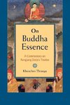 On Buddha Essence