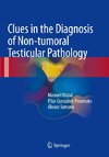 Clues in the Diagnosis of Non-tumoral Testicular Pathology