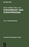 Strafrecht und Strafprozeß, Teil 2, Strafprozeß