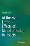 At the Size Limit - Effects of Miniaturization in Insects