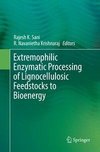 Extremophilic Enzymatic Processing of Lignocellulosic Feedstocks to Bioenergy