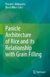 Panicle Architecture of Rice and its Relationship with Grain Filling