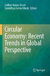 Circular Economy: Recent Trends in Global Perspective