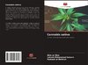 Cannabis sativa