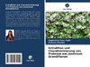 Extraktion und Charakterisierung von Protease aus Jasminum Grandiflorum