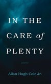 In the Care of Plenty