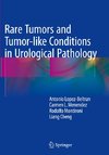 Rare Tumors and Tumor-like Conditions in Urological Pathology