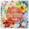 Die Struktur der Natur