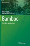 Bamboo