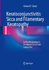 Keratoconjunctivitis Sicca and Filamentary Keratopathy