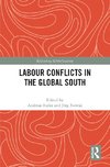 Labour Conflicts in the Global South