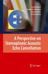 A Perspective on Stereophonic Acoustic Echo Cancellation