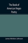 The Book of American Negro Poetry