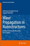 Wave Propagation in Nanostructures