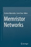 Memristor Networks