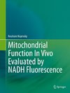 Mitochondrial Function In Vivo Evaluated by NADH Fluorescence