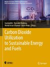 Carbon Dioxide Utilization to Sustainable Energy and Fuels