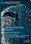 Business Under Crisis, Volume II