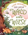 Kleine Geheimnisse der Natur - Wald und Wiese