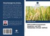 Nährstoffmanagement: Reaktion auf den Reisanbau (Oryza Sativa)