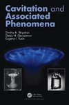 Cavitation and Associated Phenomena