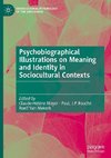 Psychobiographical Illustrations on Meaning and Identity in Sociocultural Contexts