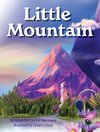 Little Mountain