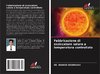 Fabbricazione di essiccatore solare a temperatura controllata